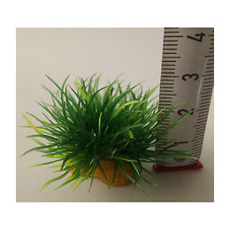 24 Petits Buissons.  Déco Plant Kit Idro . Hauteur 3 Cm. Ø 3.5 Cm Environ. - Zolux - Zo-352172