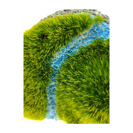 Rocher Flottant Krag S. Taille 12 X 8.5 X 13 Cm. Décoration Aquarium. - Flamingo Pet Products - Fl-410358