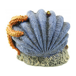 Decoration Leto Coquille.  12 X 8 X 9 Cm. Décoration Pour Aquarium. - Flamingo Pet Products - Fl-410147