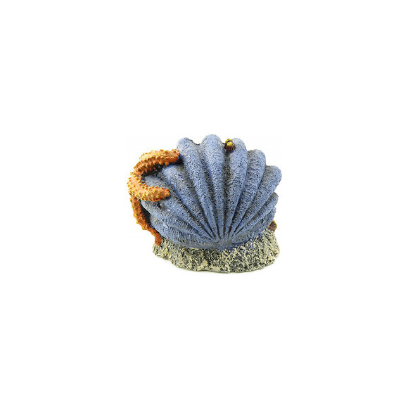 Decoration Leto Coquille.  12 X 8 X 9 Cm. Décoration Pour Aquarium. - Flamingo Pet Products - Fl-410147