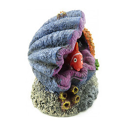 Decoration Leto Coquille.  12 X 8 X 9 Cm. Décoration Pour Aquarium. - Flamingo Pet Products - Fl-410147