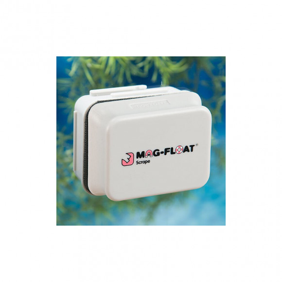 Aimant D'algues Pour Aquarium.  Grand Format 8 X 6,5 X 5 Cm - Flamingo Pet Products - Fl-401922