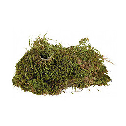 Mousse Pour Terrarium, 200 G, Substrat Pour Terrariums Humides. - Trixie - Tr-76155