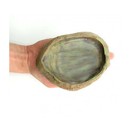 Ecuelle Pour Eau Et Nourriture Pour Reptile Taille 15 × 3,5 × 12 Cm H 3.5 Cm - Trixie - Tr-76183
