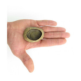 Ecuelle Pour Eau Et Nourriture Pour Reptile, Taille: 6 × 1,5 × 4,5 Cm H1.5 - Trixie - Tr-76180