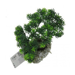 Diffuseur Bouddha Bonzaï 14,5 X 12 X 20 Cm, Décoration Aquarium - Zolux - Zo-353830