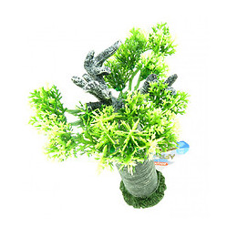 Décoration Africa Baobab Taille M. Aquarium. - Zolux - Zo-352220