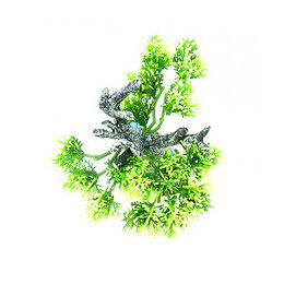 Décoration Africa Baobab Taille M. Aquarium. - Zolux - Zo-352220