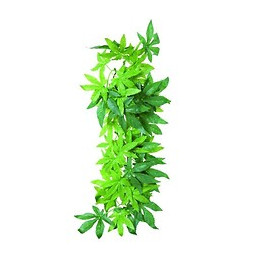 Trixie Plante En Soie Abutilon O 20 X 30 Cm Pour Reptile