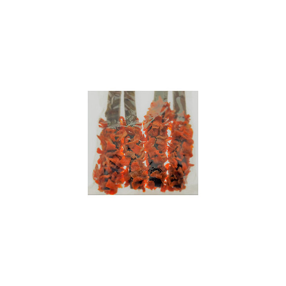 Buchette Bois Carotte Eden. 36 Grammes. Pour Rongeur. - Zolux - Zo-209508