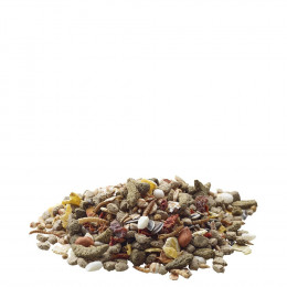 Alimentation Mélange Varié Et Riche En Céréales 700g Pour Rats - Versele-laga - Vs-461423