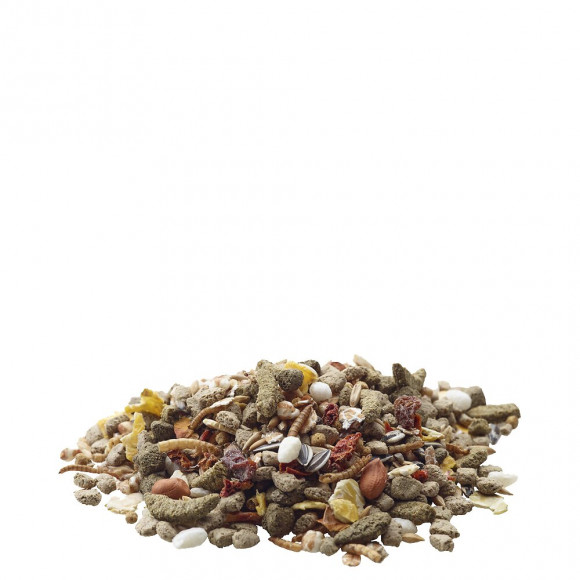 Alimentation Mélange Varié Et Riche En Céréales 700g Pour Rats - Versele-laga - Vs-461423