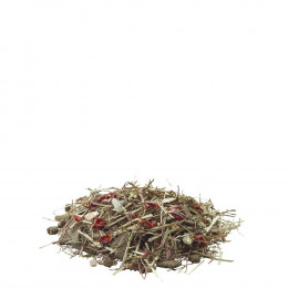 Alimentation Mélange Varié Et Riche En Fibres 2.75kg Pour Chinchillas Sensibles - Versele-laga - Vs-461432