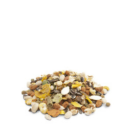 Mélange Riche En Protéines 1kg - Hamsters, Gerbilles, Rats & Souris - Versele-laga - Vs-461721