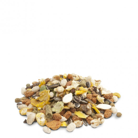 Mélange Riche En Protéines 1kg - Hamsters, Gerbilles, Rats & Souris - Versele-laga - Vs-461721