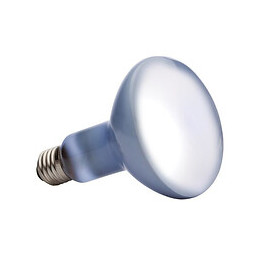 Daylight Basking Spot Ampoule 150 W