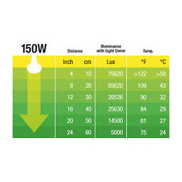 Daylight Basking Spot Ampoule 150 W
