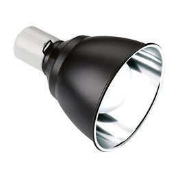 Exo Terra Support Lampe 18cm - Pour Reptiles