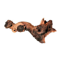 Zolux Decoration Naturelle Racine Maupani L - Pour Aquarium