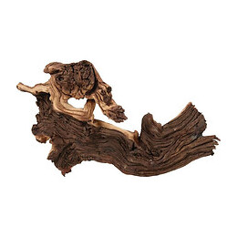 Zolux Decoration Naturelle Racine Maupani L - Pour Aquarium