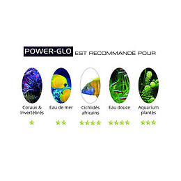 Power-glo Tube Fluorescent T5 8 W - 30 Cm - Pour Aquarium