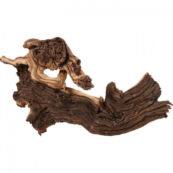 Zolux Decoration Naturelle Racine Maupani L - Pour Aquarium