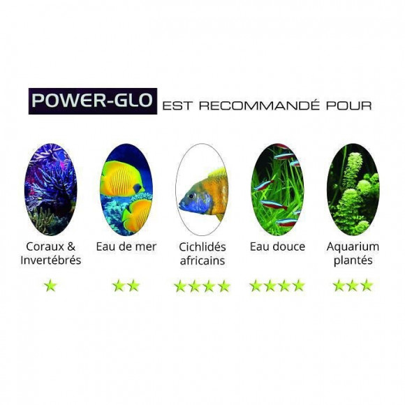 Power-glo Tube Fluorescent T5 8 W - 30 Cm - Pour Aquarium