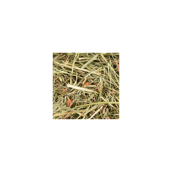 Foin De Pré Premium Avec Carotte. 1 Kg Soit 30 Litres. Pour Rongeur. - Flamingo Pet Products - Fl-210292