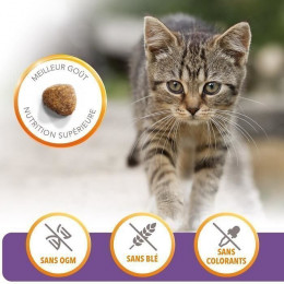 Iams Vitality Croquettes Super Premium Chatons - Au Poulet Frais - Sans Ogm Colorant Arome Artificiel - 10 Kg