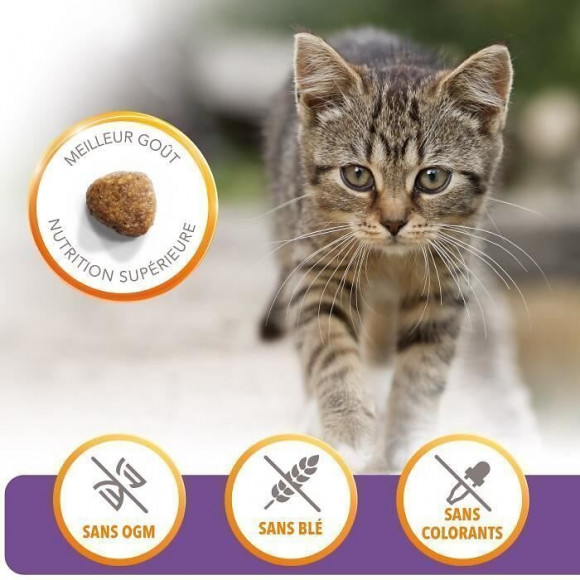 Iams Vitality Croquettes Super Premium Chatons - Au Poulet Frais - Sans Ogm Colorant Arome Artificiel - 10 Kg