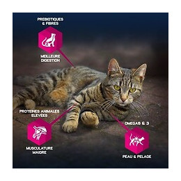 Eukanuba Croquettes Au Poulet - Sterilises Ou Surpoids - Toutes Races - 10kg - Pour Chat Adulte