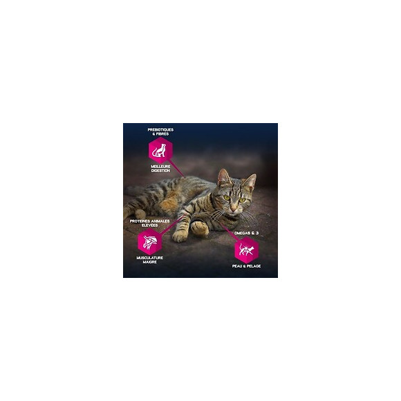 Eukanuba Croquettes Au Poulet - Sterilises Ou Surpoids - Toutes Races - 10kg - Pour Chat Adulte