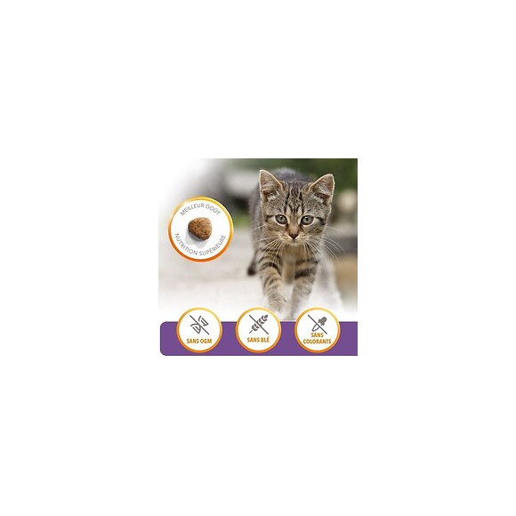 Iams Vitality Croquettes Super Premium Chatons - Au Poulet Frais - Sans Ogm Colorant Arome Artificiel - 10 Kg