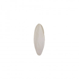 Os De Seiche Bijoutier. Pour Oiseaux - Zolux - Zo-140305