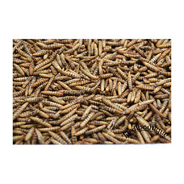750 G Nourriture Pour Animaux À Base D'insectes, Pour Oiseaux, Poule, Lézard, Poisson. - Jardiboutique - Ent-vr-souf-750