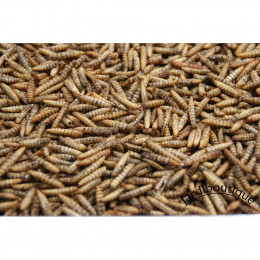 750 G Nourriture Pour Animaux À Base D'insectes, Pour Oiseaux, Poule, Lézard, Poisson. - Jardiboutique - Ent-vr-souf-750