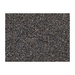 Graines De Tournesol Striées Pour Oiseaux. Sachet De 2.75 Kilo - Emma's Garden - Va-418050