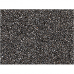 Graines De Tournesol Noires Pour Oiseaux. Sachet 2.75 Kilo - Emma's Garden - Va-417050