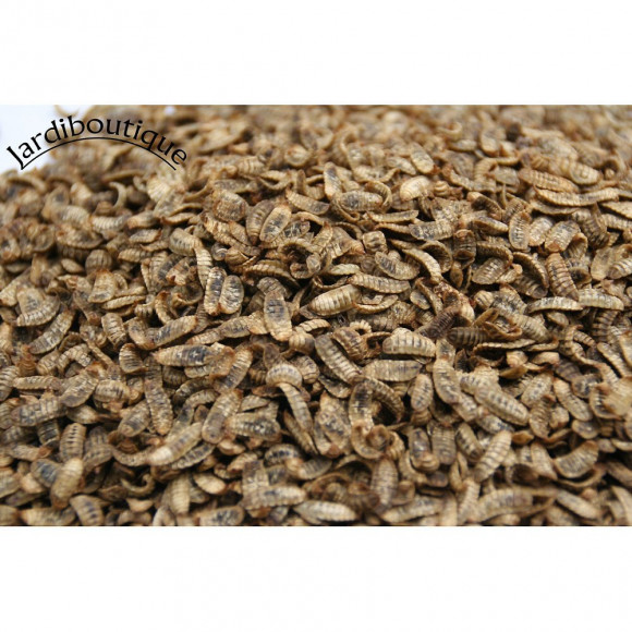 Nourriture Larves Entières Déshydratées De Mouche Soldat 80g - Jardiboutique - Ent-vr-deshy-80g