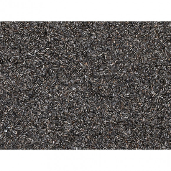 Graines De Tournesol Striées Pour Oiseaux. Sachet De 700 Grammes. - Emma's Garden - Va-418010