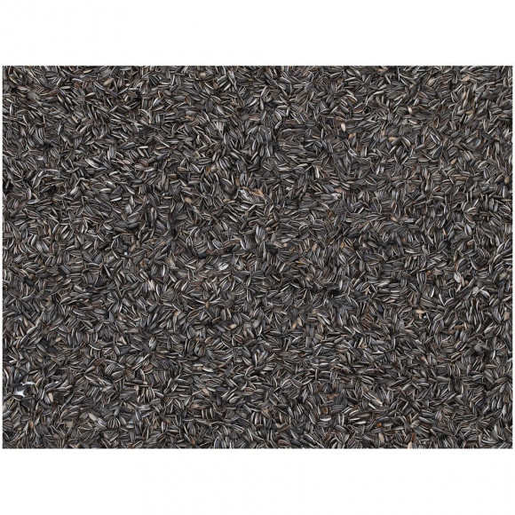 Graines De Tournesol Noires Pour Oiseaux. Sachet 700 Gr. - Emma's Garden - Va-417010