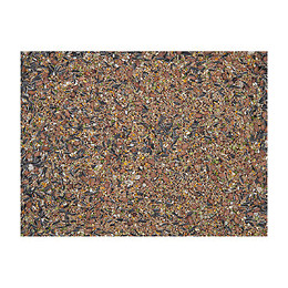 Mélanges De Graines Hiver Pour Oiseaux De La Nature. Sachet De 1 Kg - Emma's Garden - Va-400010