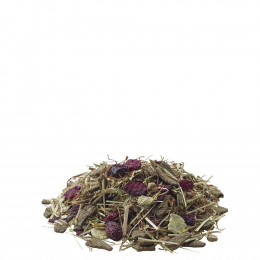 Alimentation Mélange Varié Et Riche En Fibres 1 Kg Pour Cobayes Sensibles - Versele-laga - Vs-461429