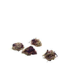 Balles À Grignoter Riches En Fibres Au Hibiscus Et À La Carotte 60g Pour Rongeur - Versele-laga - Vs-461442