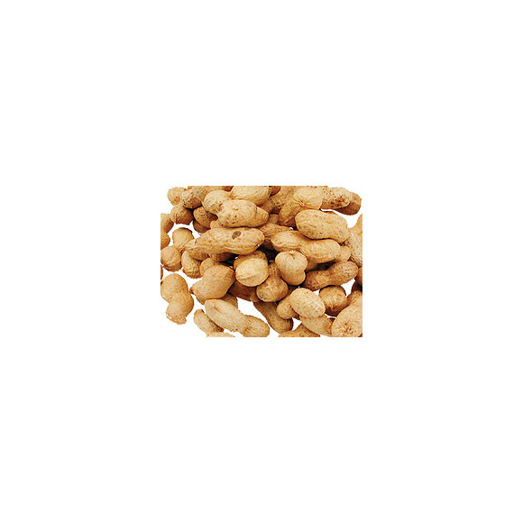 Graines  Pour Oiseaux Arachides 0.300kg - Vadigran - Va-220010