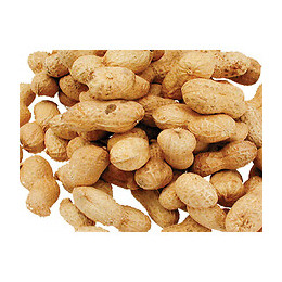 Graines Arachides  Sachet De 1.300 Kg. Pour Oiseaux. - Vadigran - Va-220050