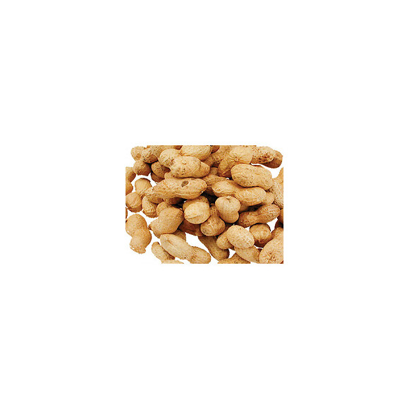 Graines Arachides  Sachet De 1.300 Kg. Pour Oiseaux. - Vadigran - Va-220050