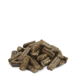 Aliment En Granulés, Riches En Fibres, 2kg Pour Tous Les Lapins - Versele-laga - Vs-461150