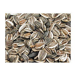 Graines De Tournesol Grande Striées 1.8 Kg. Pour Oiseaux. - Vadigran - Va-217050