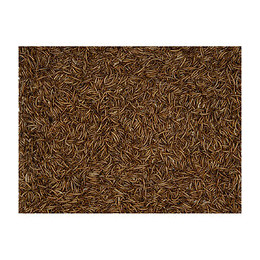 Vers De Farine 1 Kg, Emma's Garden, Pour Oiseaux. - Vadigran - Va-423050